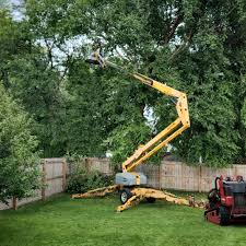 Best Grass Overseeding  in Warsaw, VA
