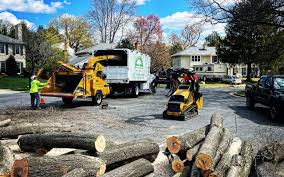 Best Sod Installation  in Warsaw, VA