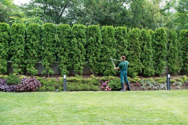 Best Artificial Turf Installation  in Warsaw, VA
