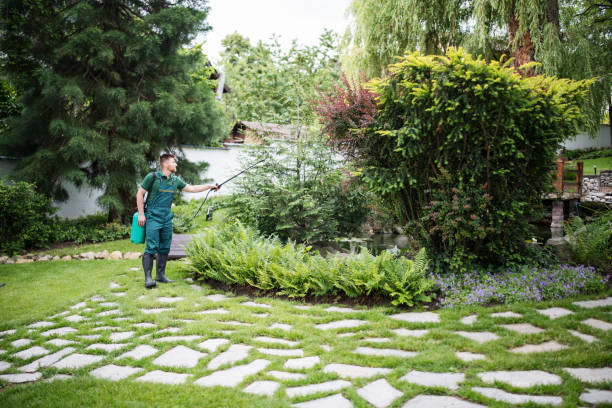 Best Landscape Design and Installation  in Warsaw, VA